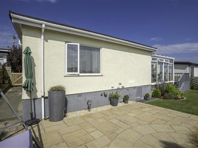 Picture 23